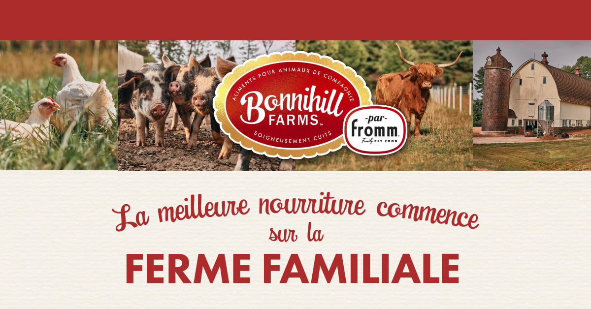 3257_bonnihill-farms-marketing-tools_HEADER_1200x628-1 3257_bonnihill-farms-marketing-tools_HEADER_1200x628-1