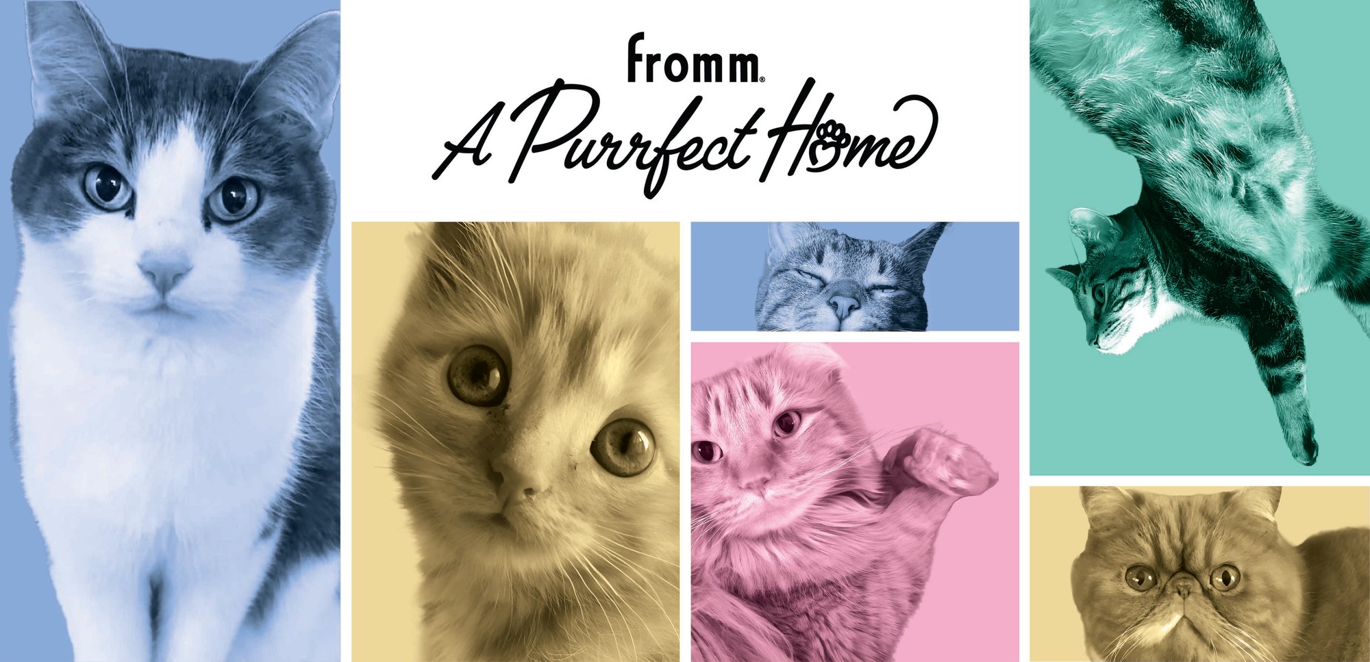 3727_PORTAL-a-purrfect-home-marketing-tools-partner-portal-header-1 3727_PORTAL-a-purrfect-home-marketing-tools-partner-portal-header-1