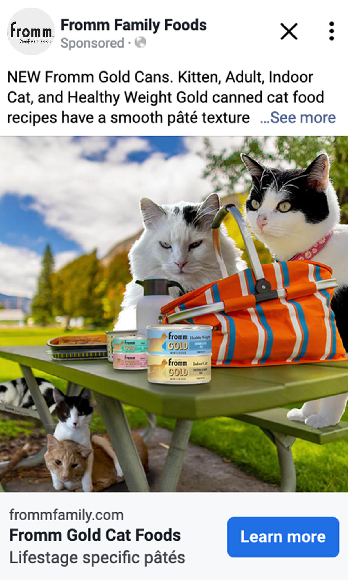 3727_PORTAL_gold-cat-partner-portal-post-previews_1200x2000_02-1 3727_PORTAL_gold-cat-partner-portal-post-previews_1200x2000_02-1