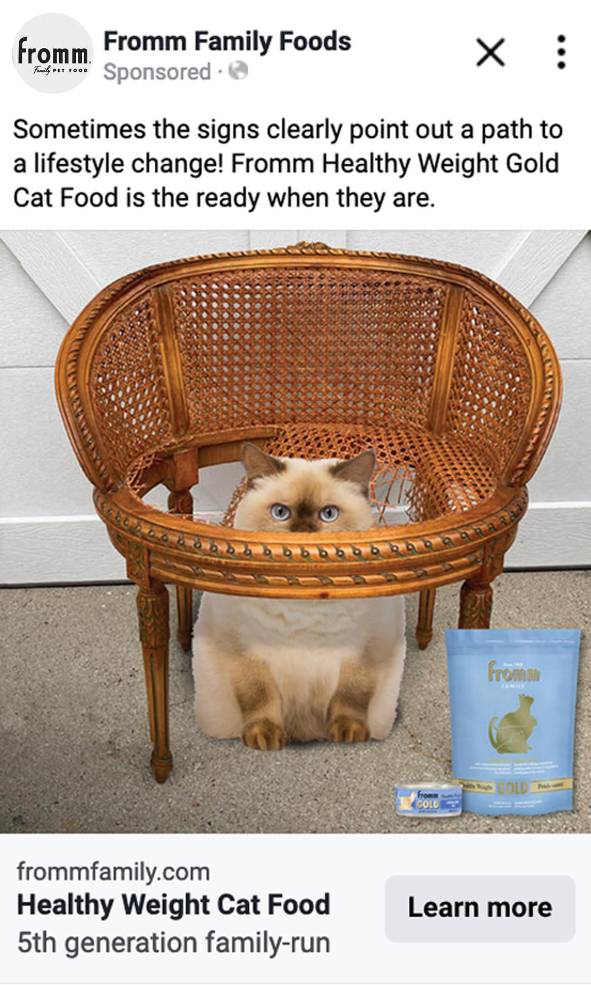 3727_PORTAL_gold-cat-partner-portal-post-previews_1200x2000_03-1 3727_PORTAL_gold-cat-partner-portal-post-previews_1200x2000_03-1