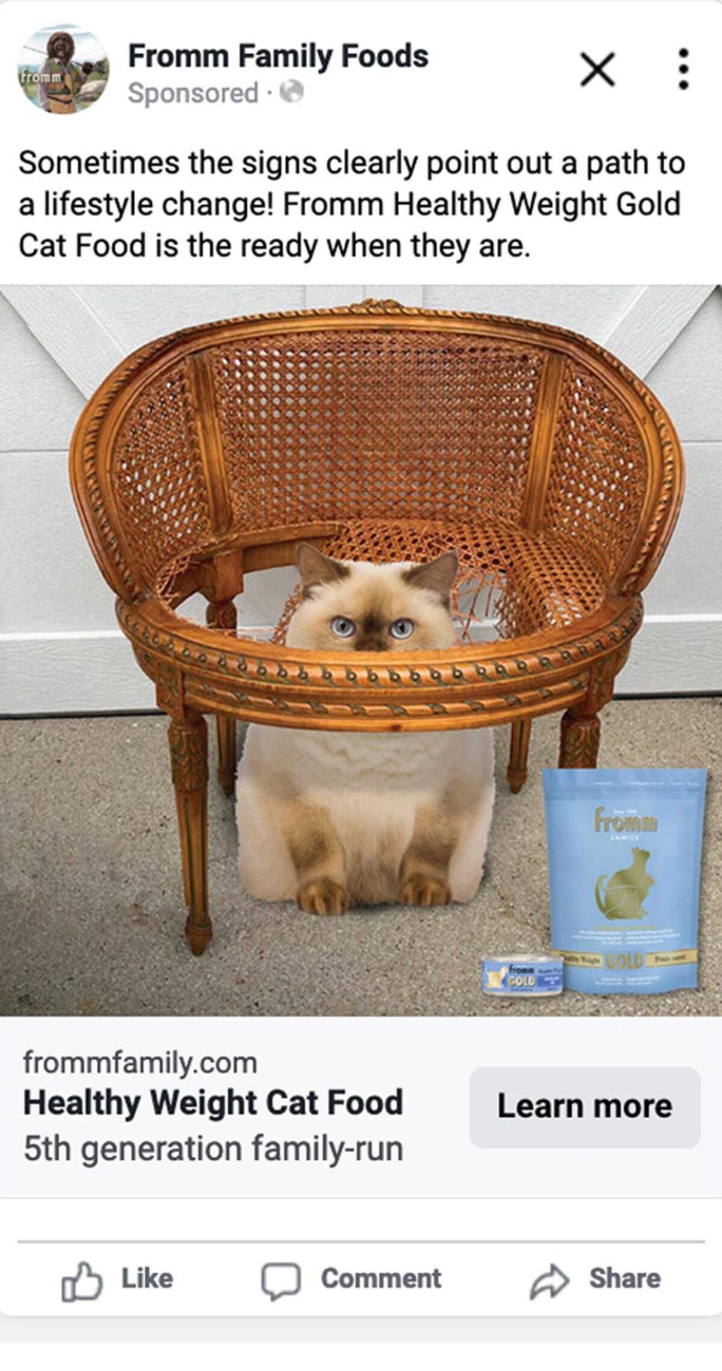 3823_PORTAL_gold-cat-marketing-tools-partner-portal-post-previews_08