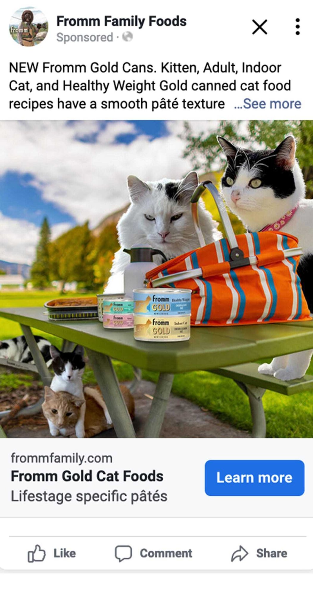 3823_PORTAL_gold-cat-marketing-tools-partner-portal-post-previews_15