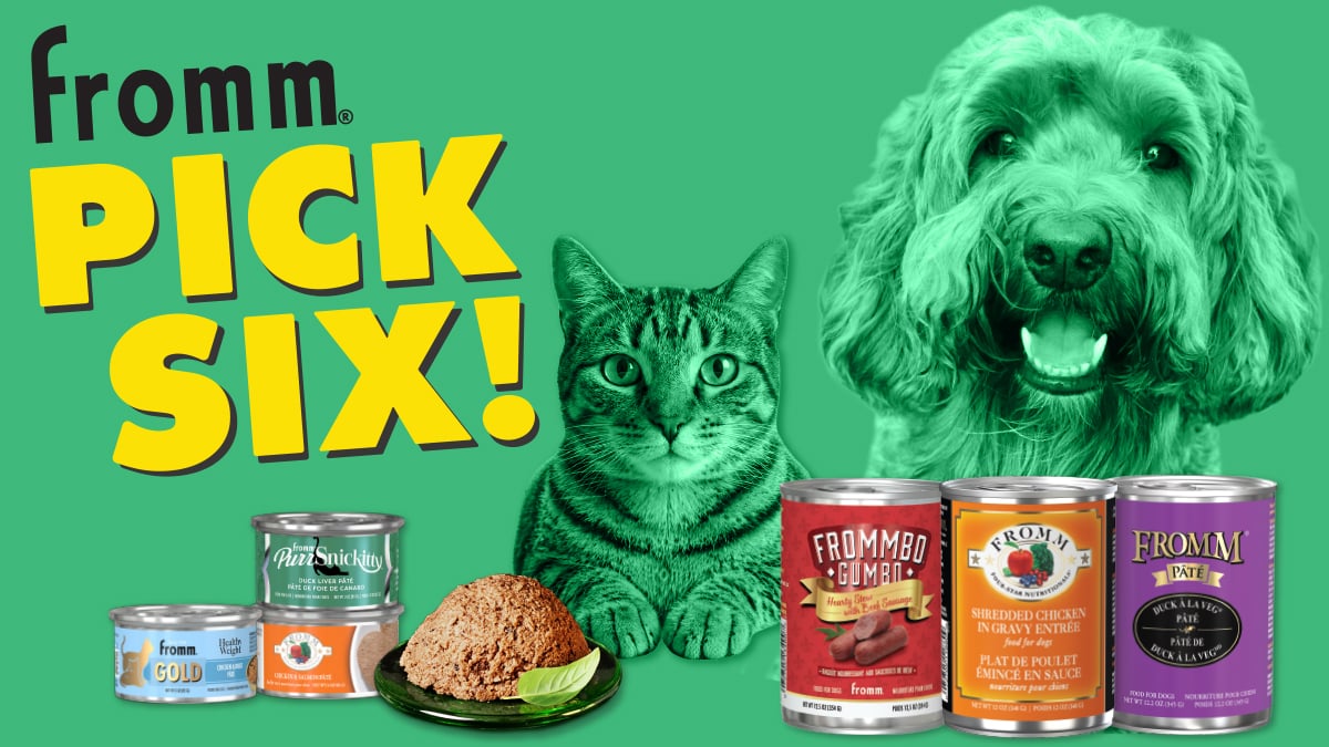 pick6-cat-dog-header_1200x675_2