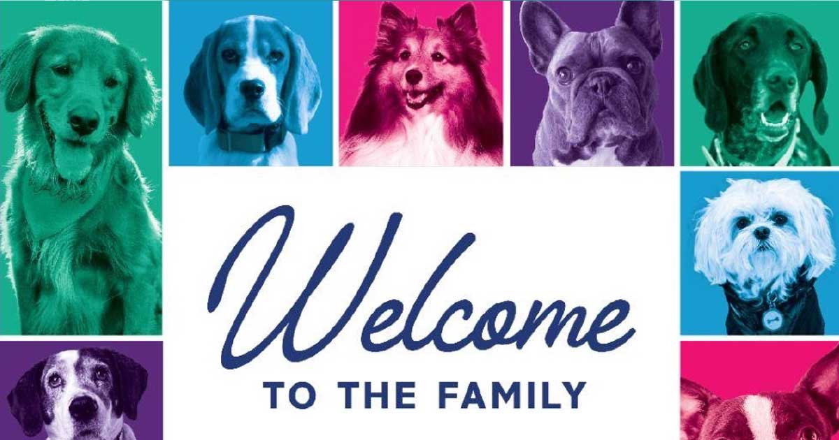 Welcome to the Family