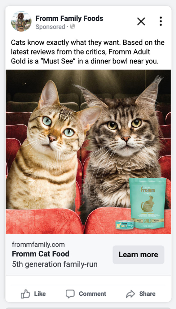 Facebook ad preview Gold Adult Cat - cats at the cinema