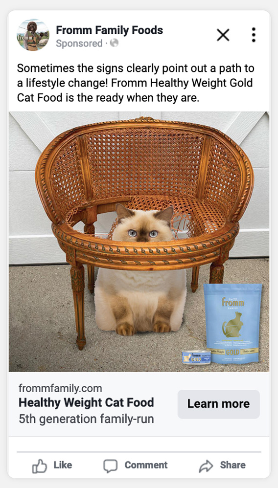 Health Weight Gold Cat ad still - cat fallen through chair
