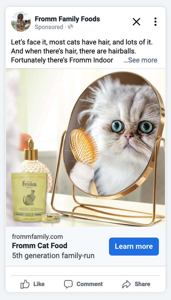 Facebook ad preview Indoor Cat Gold Cat - fluffy cat in front of mirror
